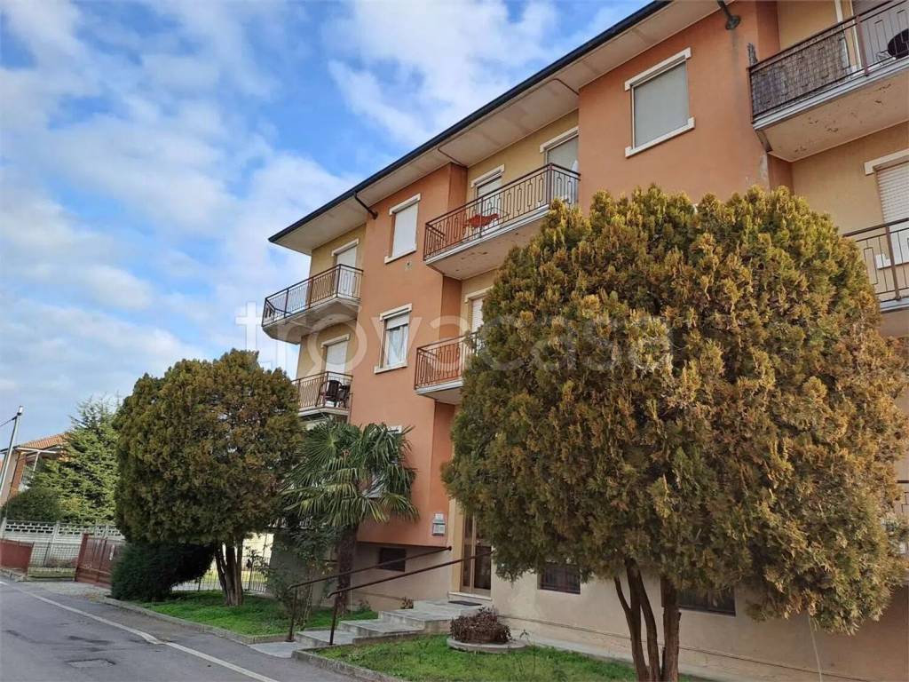 immagine annuncio 1 di 10