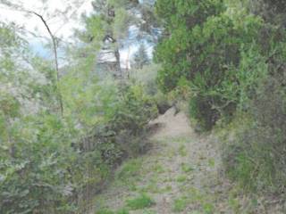 Terreno agricolo all'asta a lucca via delle ville prima