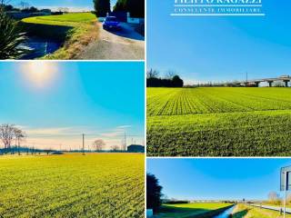 Terreno agricolo in vendita a ferrara via arginone