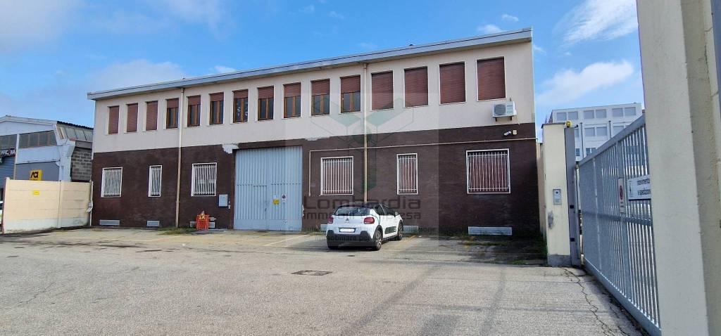 immagine annuncio 3 di 15