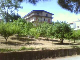 Villa bifamiliare in in vendita da privato a francavilla angitola via dante alighieri, 5