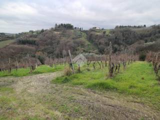 Terreno agricolo in vendita a cesena via madonna dell'ulivo, 4727