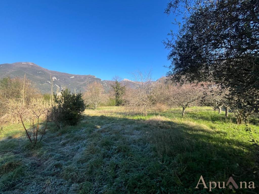 immagine annuncio 10 di 13