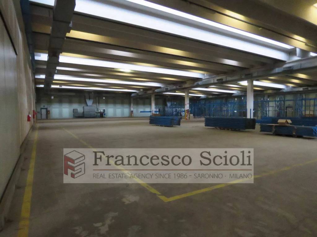immagine annuncio 4 di 8