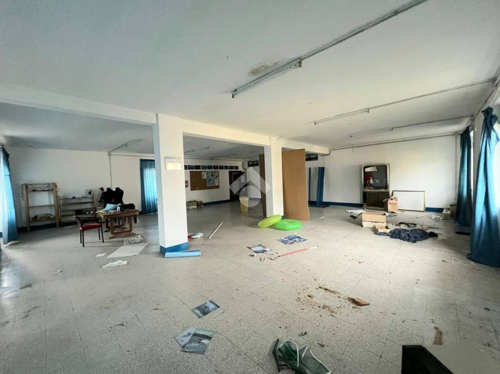 immagine annuncio 9 di 13