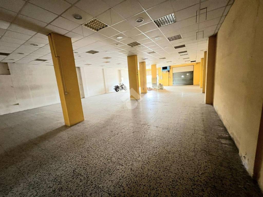 immagine annuncio 11 di 13