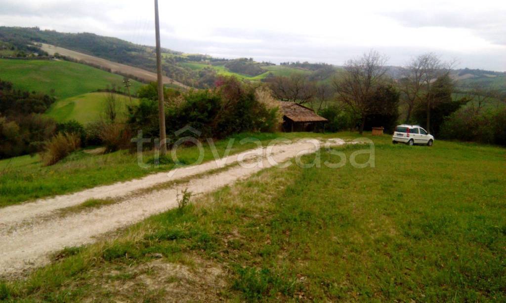 immagine annuncio 12 di 13