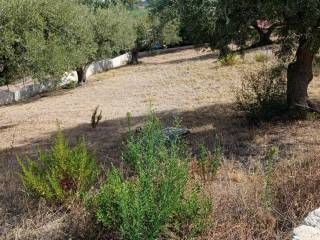 Terreno residenziale in vendita a trabia contrada salina