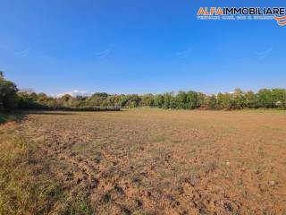 Terreno agricolo in vendita a novara viale piazza d'armi, 38