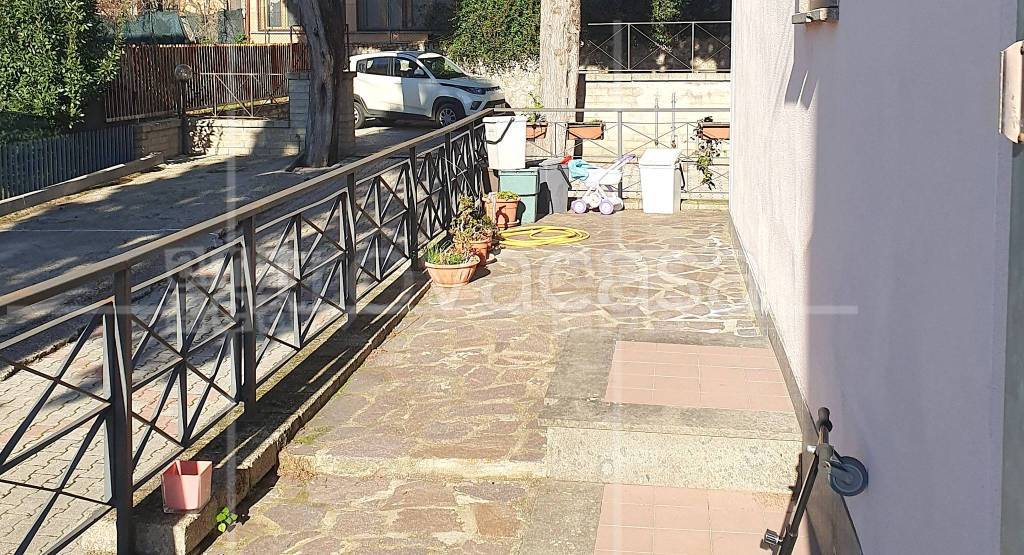 immagine annuncio 12 di 14