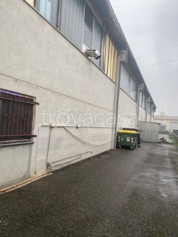 immagine annuncio 2 di 11