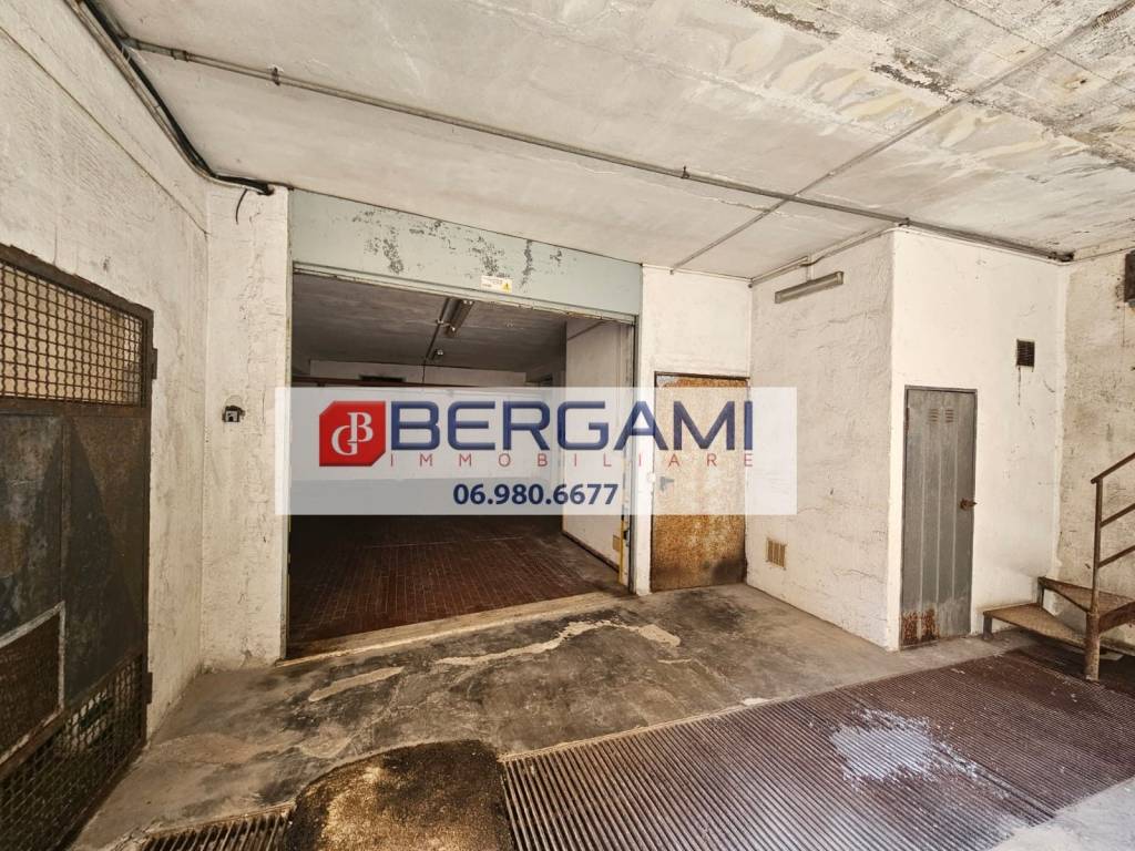 immagine annuncio 3 di 14