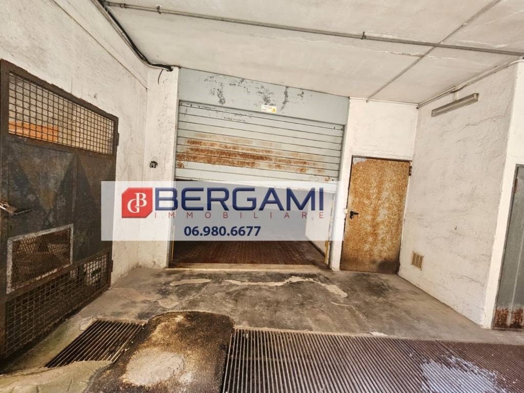 immagine annuncio 4 di 14