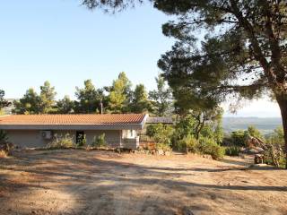 Villa in affitto a dorgali via per oddoene