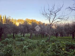 Terreno agricolo in vendita a montopoli di sabina via rovane