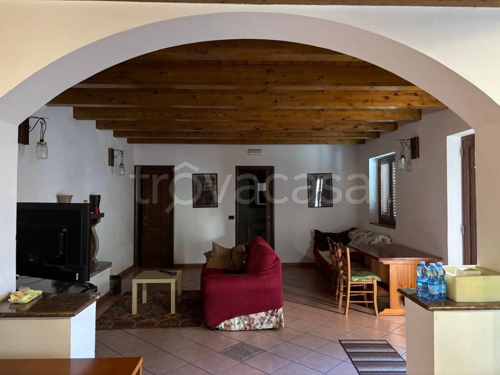immagine annuncio 2 di 12