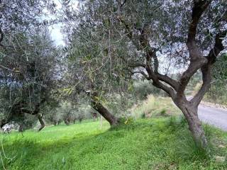 Terreno agricolo in vendita a castellabate via della porta