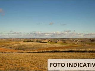 Terreno residenziale all'asta a fratta polesine via nenni