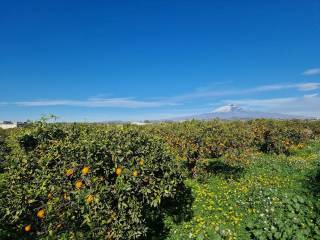 Terreno agricolo in vendita a catania contrada junghetto