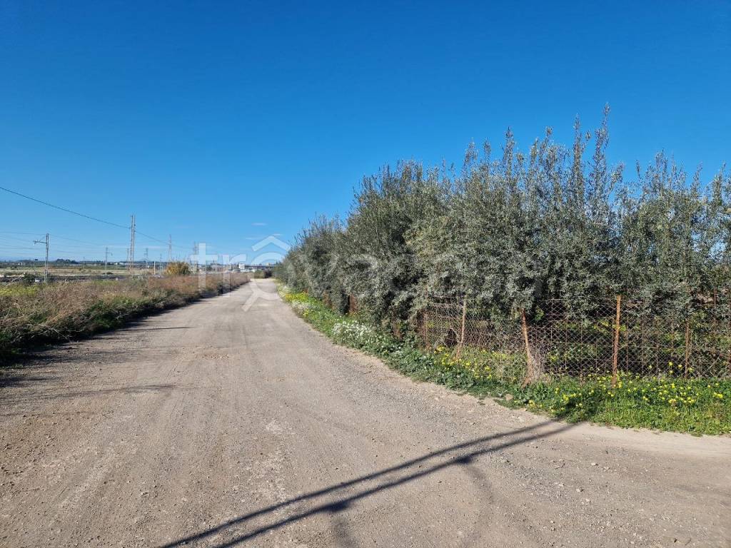 immagine annuncio 4 di 13