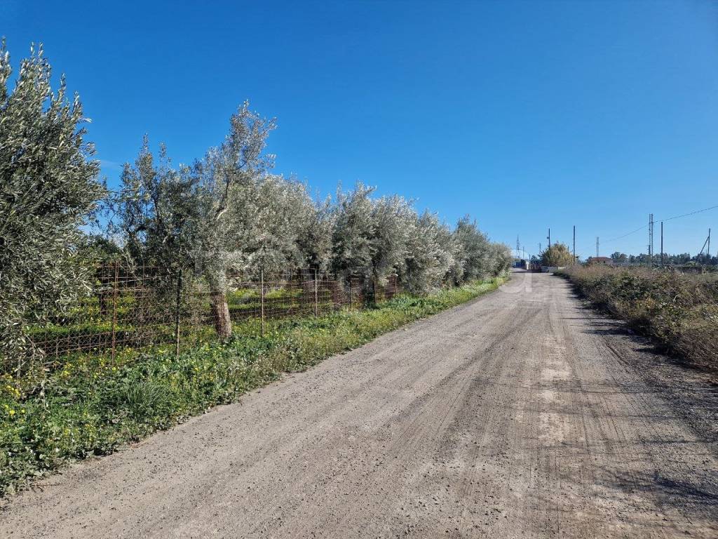 immagine annuncio 8 di 13