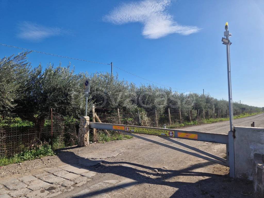 immagine annuncio 9 di 13