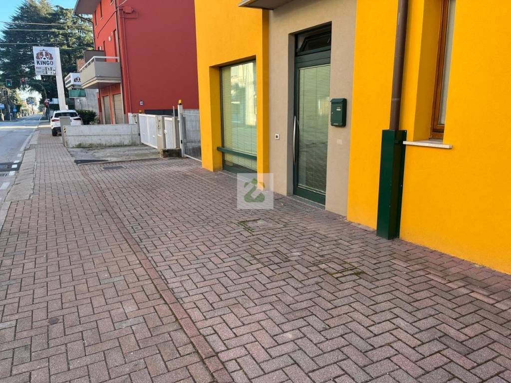 immagine annuncio 4 di 12