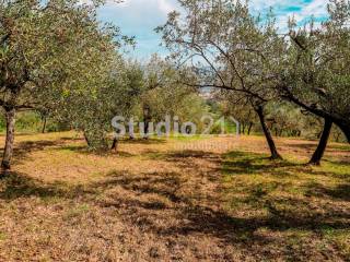 Terreno agricolo in vendita a figline e incisa valdarno 