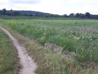 Terreno agricolo all'asta a farra d'isonzo loc. farra d'isonzo