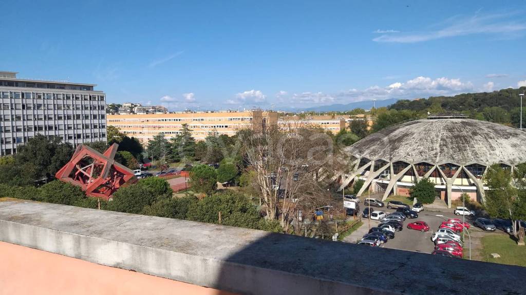 immagine annuncio 6 di 8