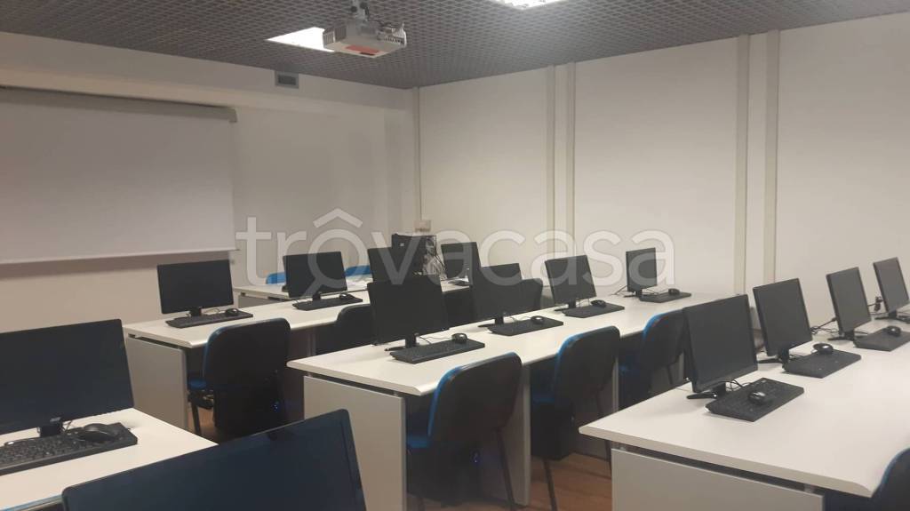 immagine annuncio 6 di 12