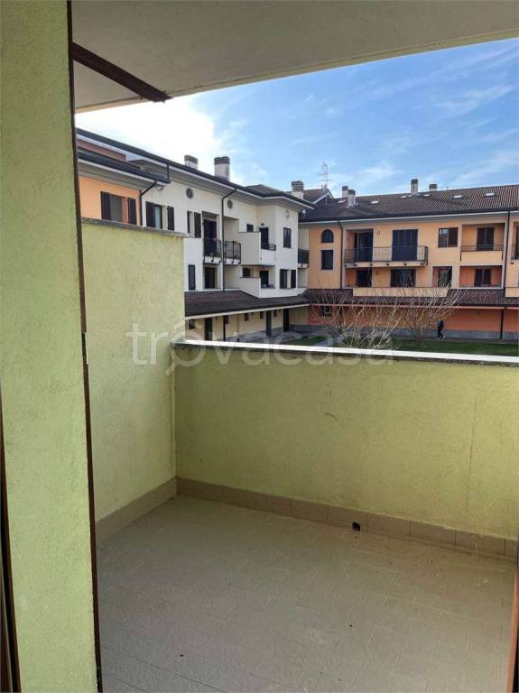 immagine annuncio 6 di 12