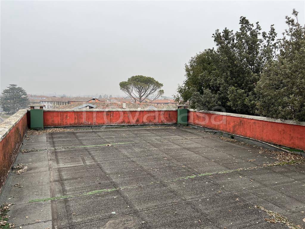 immagine annuncio 5 di 7