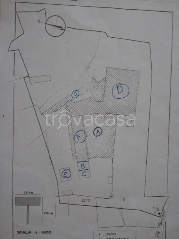 immagine annuncio 8 di 9