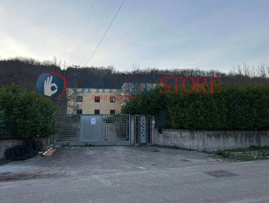 immagine annuncio 1 di 9