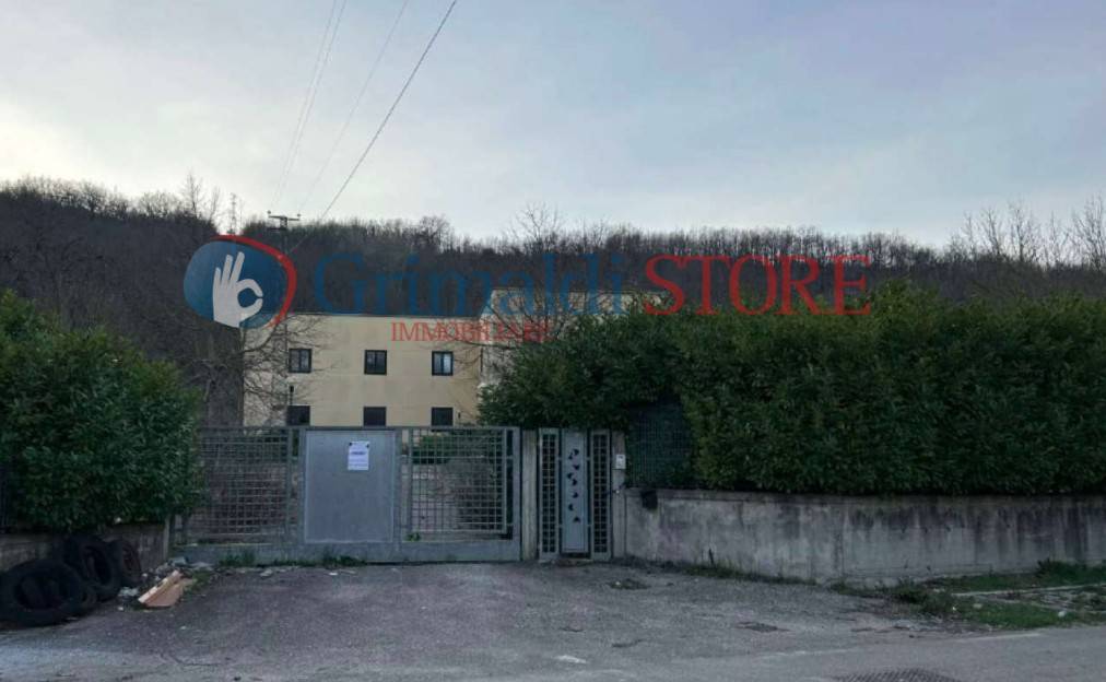 immagine annuncio 3 di 9