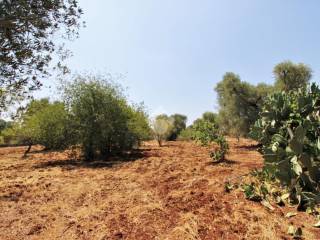 Terreno residenziale in vendita a ceglie messapica contrada natalicchio