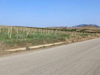 Terreno agricolo all'asta a trapani contrada mendola