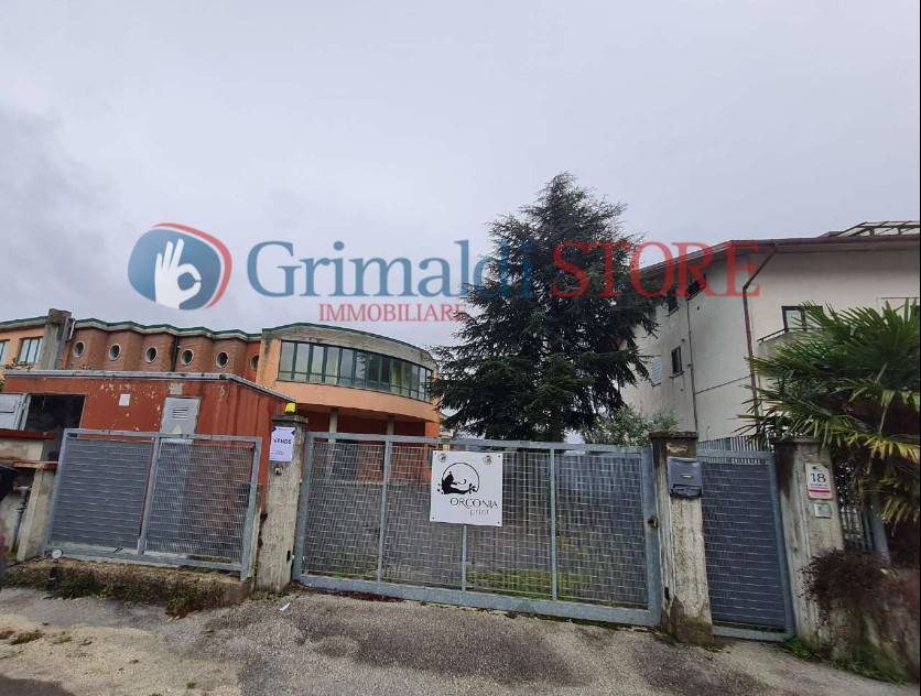 immagine annuncio 2 di 9