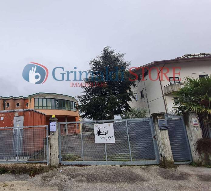 immagine annuncio 3 di 9
