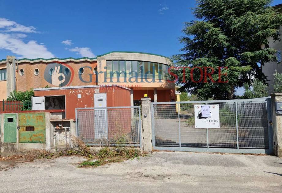 immagine annuncio 7 di 9