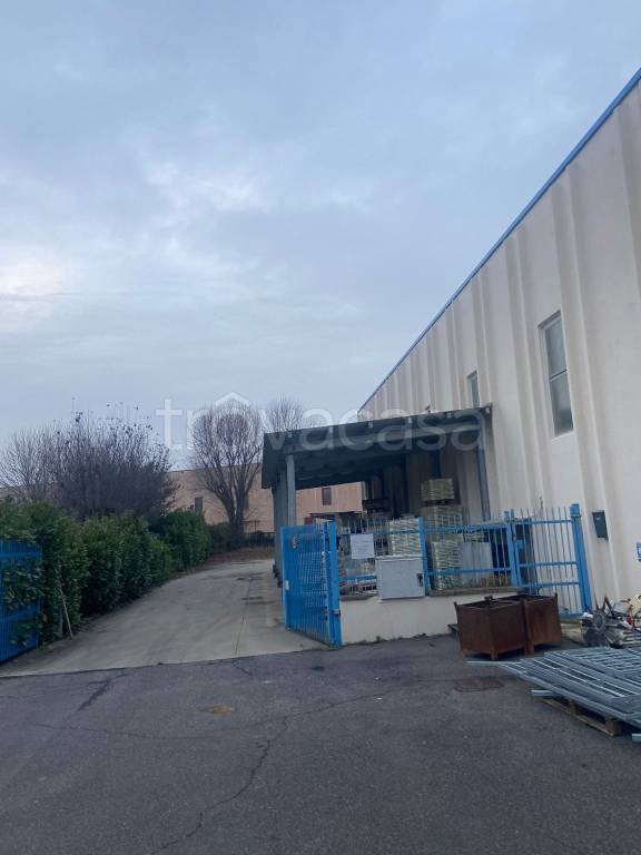 immagine annuncio 5 di 14
