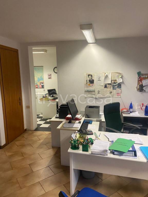 immagine annuncio 9 di 14