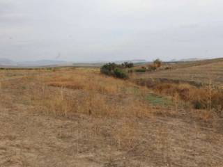 Terreno agricolo all'asta a trapani contrada misiliscemi