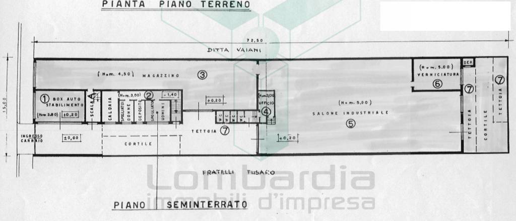 immagine annuncio 6 di 7