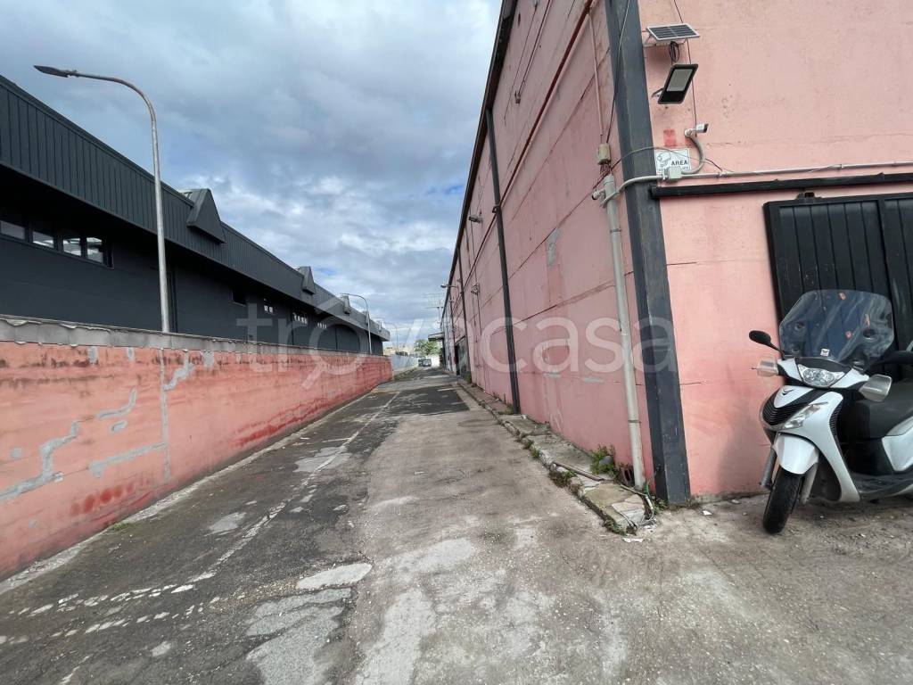 immagine annuncio 2 di 14