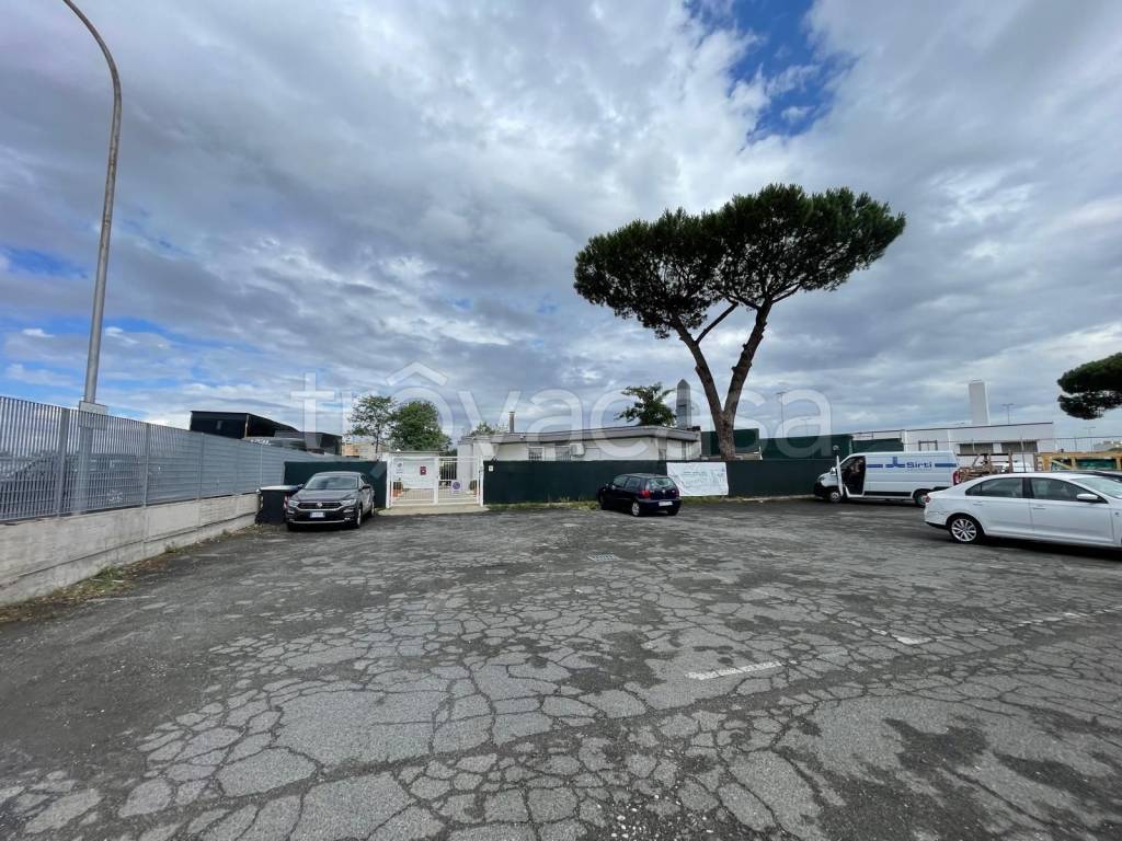 immagine annuncio 3 di 14