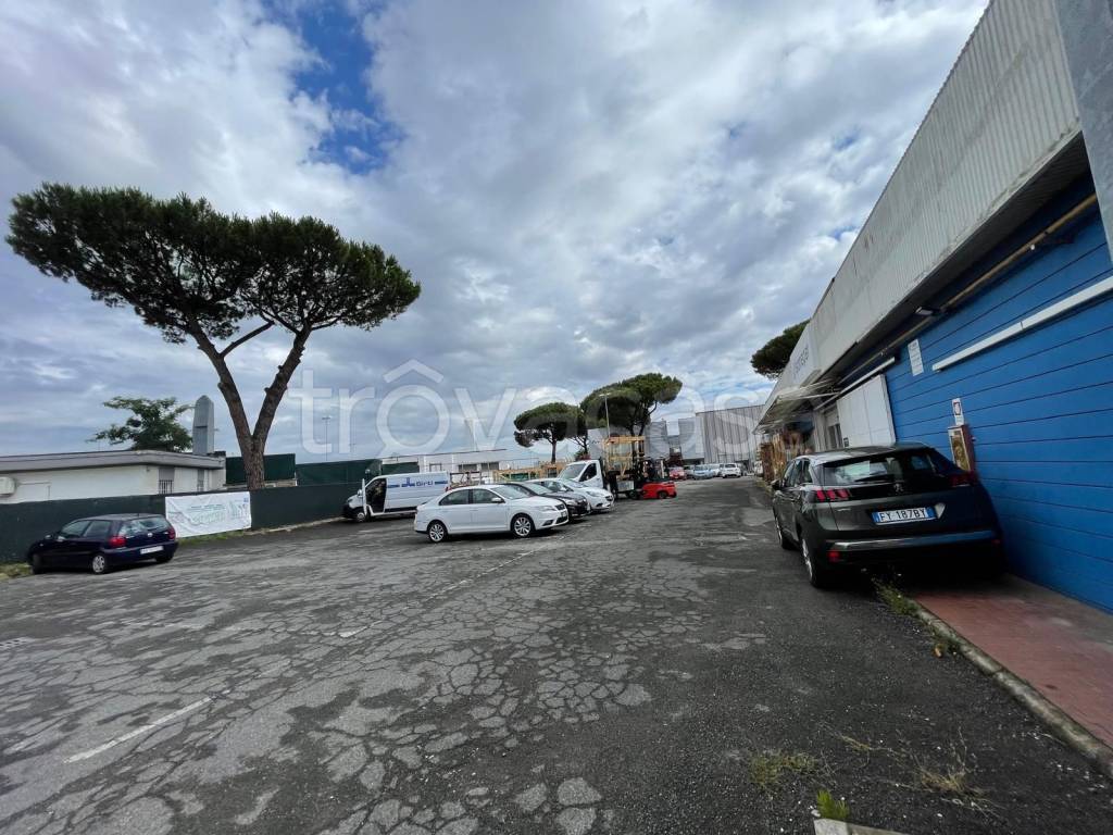 immagine annuncio 4 di 14