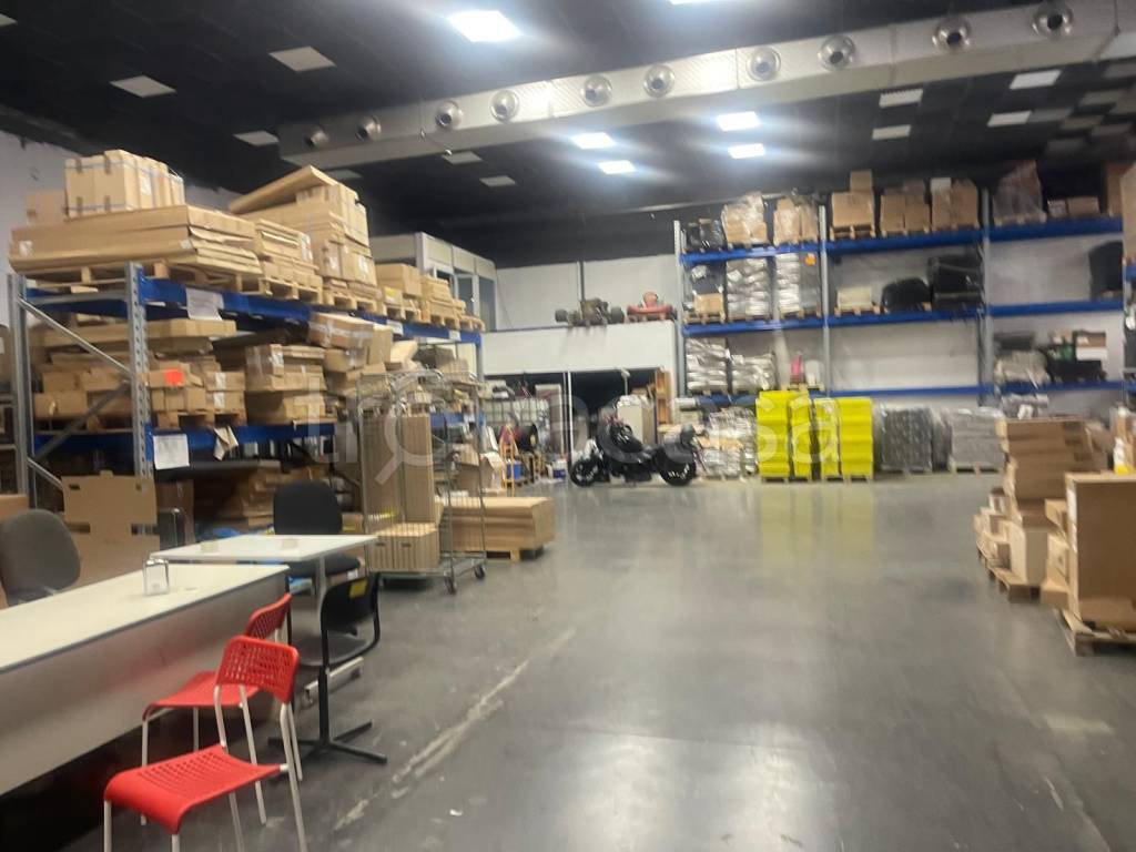 immagine annuncio 7 di 14