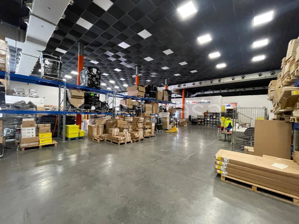 immagine annuncio 8 di 14